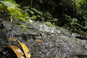 Annah Rais – Trek to the waterfall