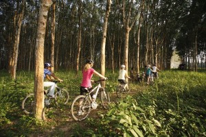 By bike through rubber plantations