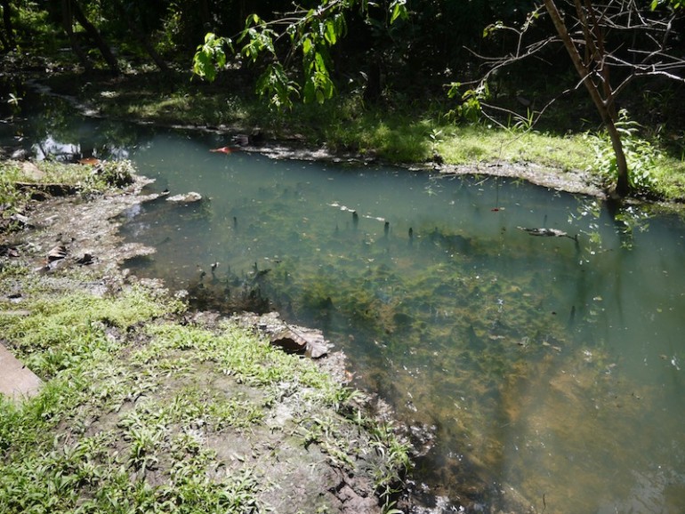 Panchor hot springs – Sarawak
