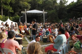 Rainforest World Music Festival activities