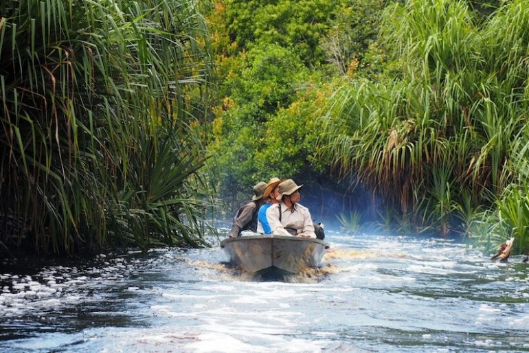 on local boat along Sebangau National Park canals