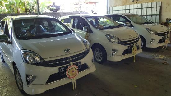 Echo Bali Car Rental cars