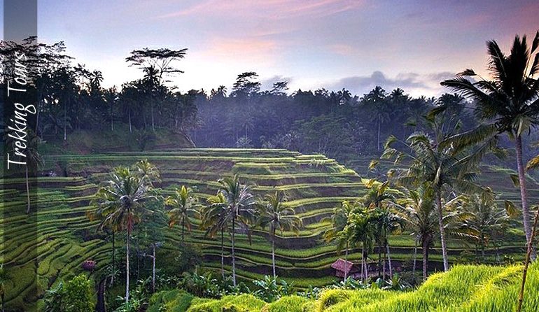 Trekking tours with Bali Eco Tours