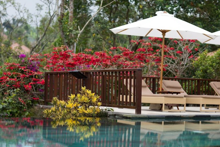 Amazing flora in bloom