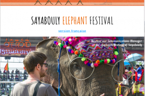 SAYABOULY ELEPHANT FESTIVAL