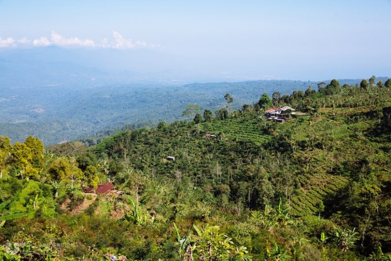 The amazing view over the hills