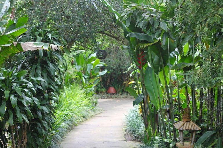 The lovely paths at the resort