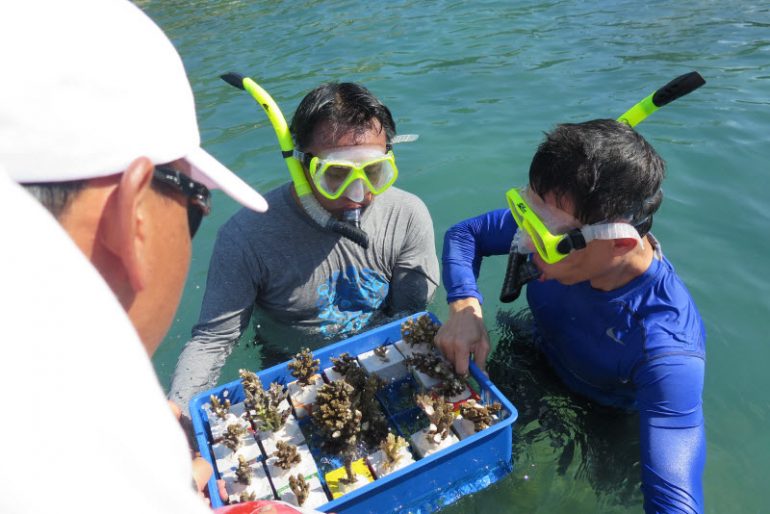 Banyan Tree Samui's CSR team re-attach corals to blocks which are then replaced in the resort's private coral reef