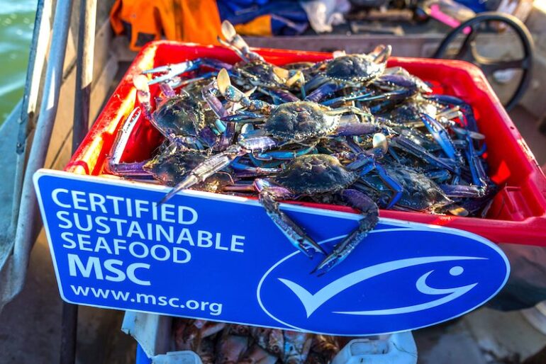 MSC standard is important