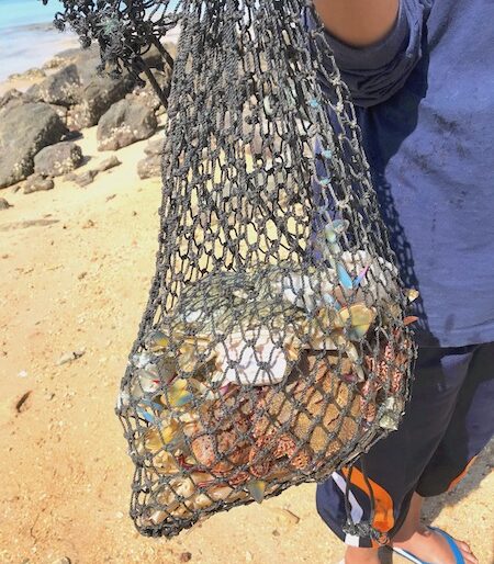 The catch of one set of nets