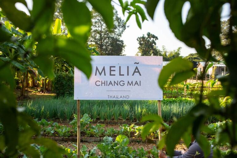 New urban hotel opens organic farm