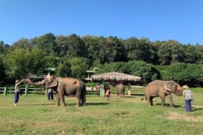 KANTA Elephant Sanctuary