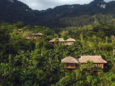 Avana Retreat Planting 10,000 Trees