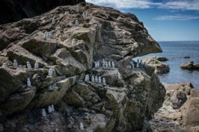 The Timeless Magic of Japan’s Sado Island