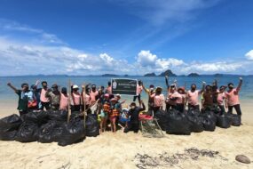 Asian Hotels on World Environment Day