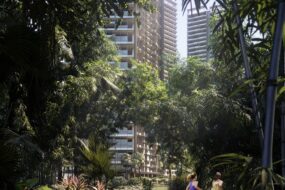 Savyavasa‘s Landscape Mastery