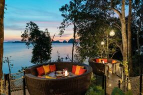 New Ideas Hatching in the Bird’s Nest