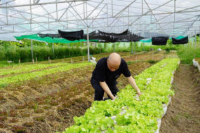 Chiang Mai Hotel’s Organic Farming Initiative