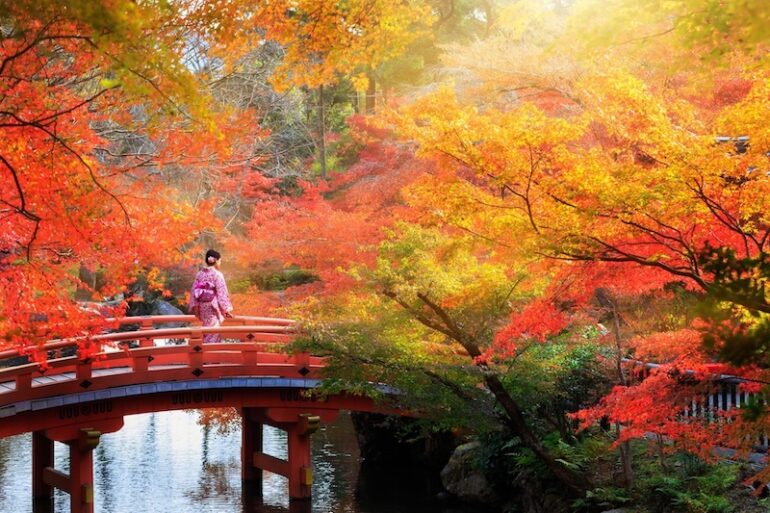 First-Time Japan Guide: When to Go, What to See, How to Get Around