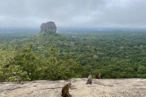 Pidurangala: Sri Lanka’s Sacred Rock