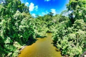 Ulu Temburong: il cuore verde del Brunei