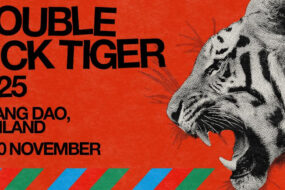 the Unique Double Dick Tiger Festival in Thailand