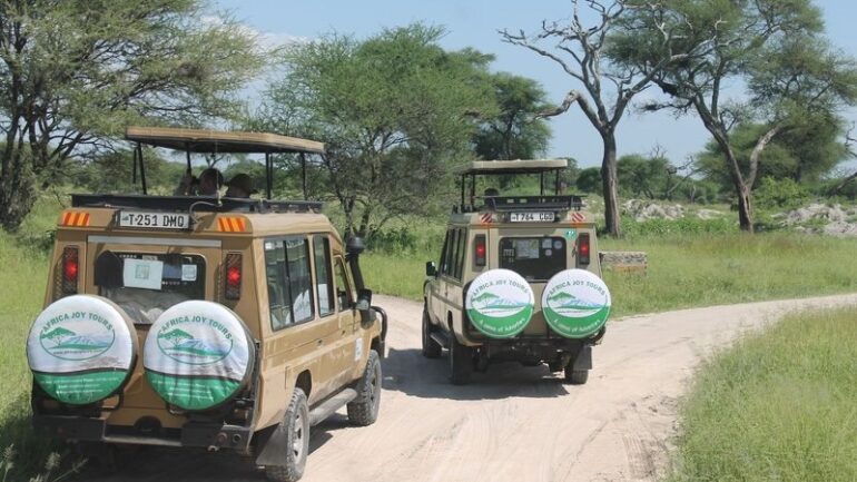 Deep Journey Through Tanzania Safari Life and Masai Mara