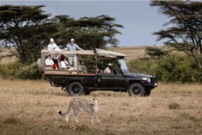 Chasing the Great Migration Across the Masai Mara Savannah