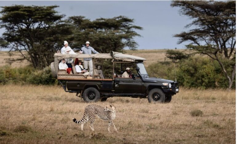 Chasing the Great Migration Across the Masai Mara Savannah