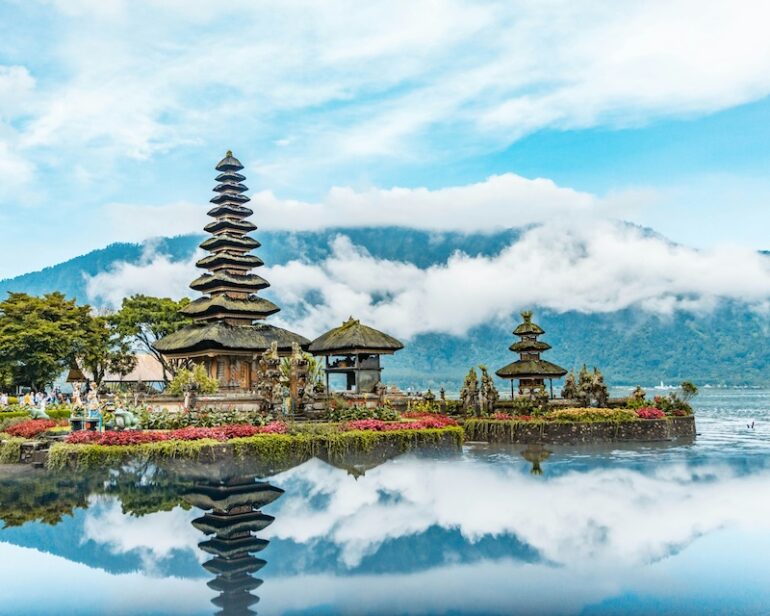 Bali in un Giorno: Templi Sacri, Risaie UNESCO e la Foresta delle Scimmie
