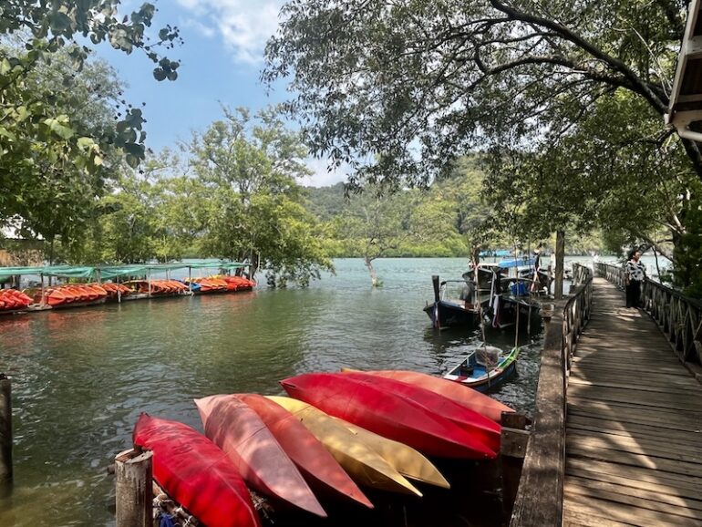 A 2-Day Kayaking & Mangrove Escape to Ao Thalane