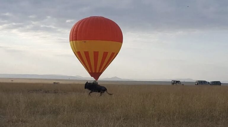 Masai Mara Safari: Wild Journey Into Africa’s Heart