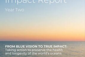 Novotel Oceans Impact Report: Executive Summary