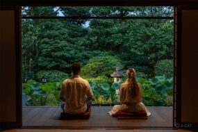 Taizo-in Temple Kyoto: A Private Zen Experience